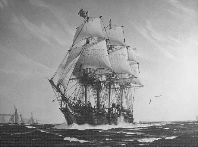 1819SS-Savannah