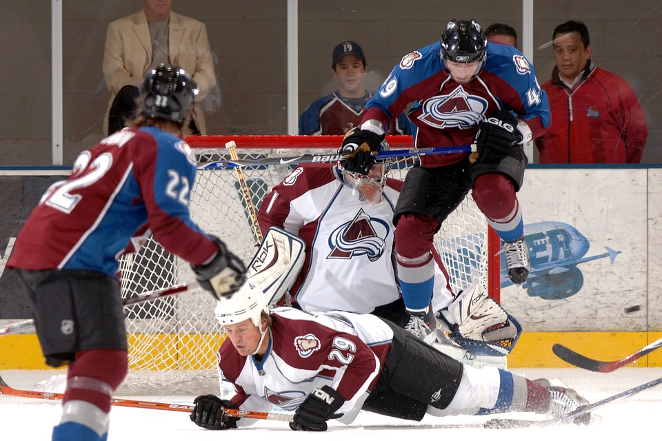 ArticlesNHLgoalies