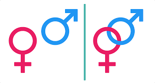 LanguageDayMaleFemale